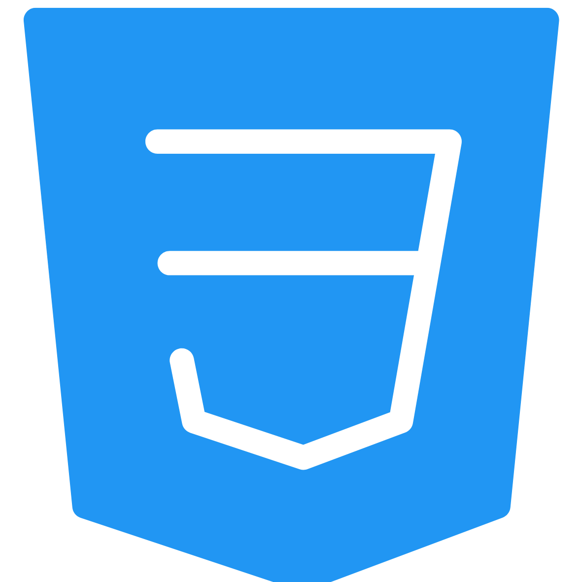 CSS